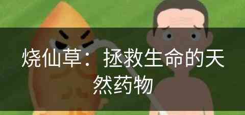 烧仙草:拯救生命的天然药物 烧仙草:拯救生命的天然药物